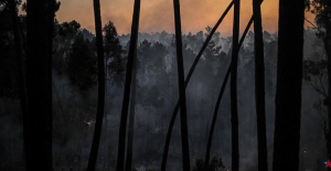 Violent resumption forest fires in Portugal, many villages evacuated