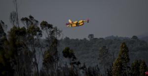 Portugal is having trouble controlling several forest fires due to the heat wave