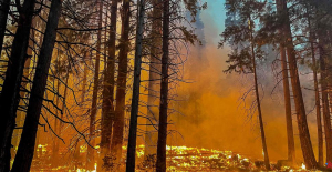 Images, images. United States: This violent fire threatens giant sequoias in Yosemite Park